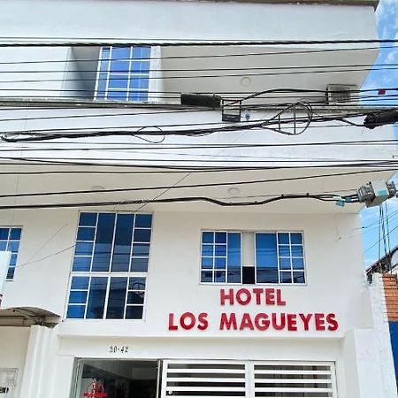 Hotel Los Magueyes Bucaramanga Exterior photo