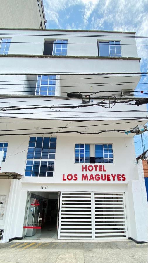 Hotel Los Magueyes Bucaramanga Exterior photo