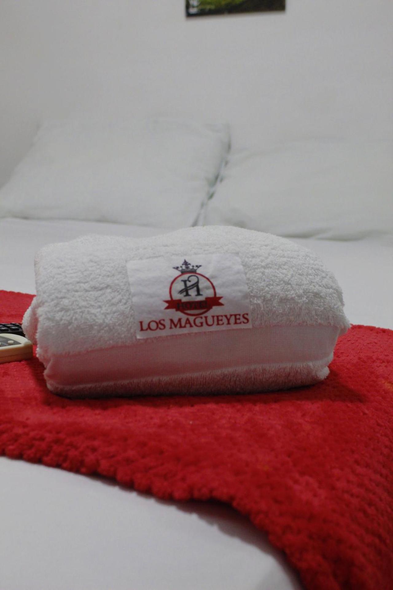 Hotel Los Magueyes Bucaramanga Exterior photo